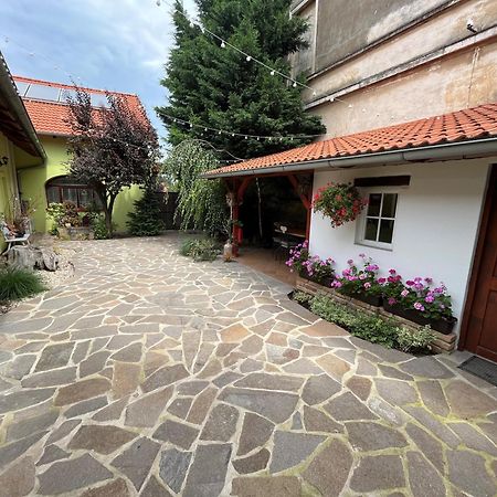 Penzion Primase Dolni Vestonice Bagian luar foto