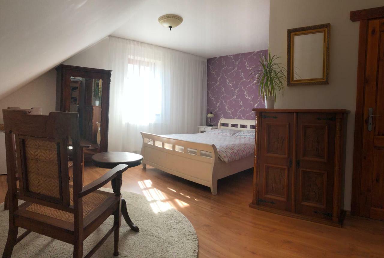 Penzion Primase Dolni Vestonice Bagian luar foto